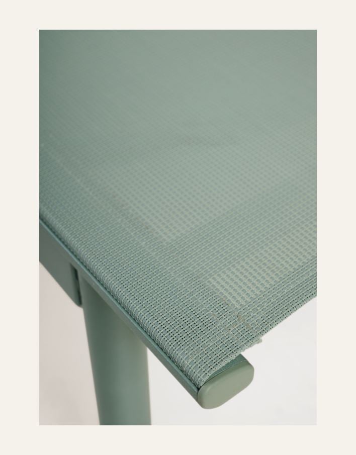 Solseng grågrønn - 5