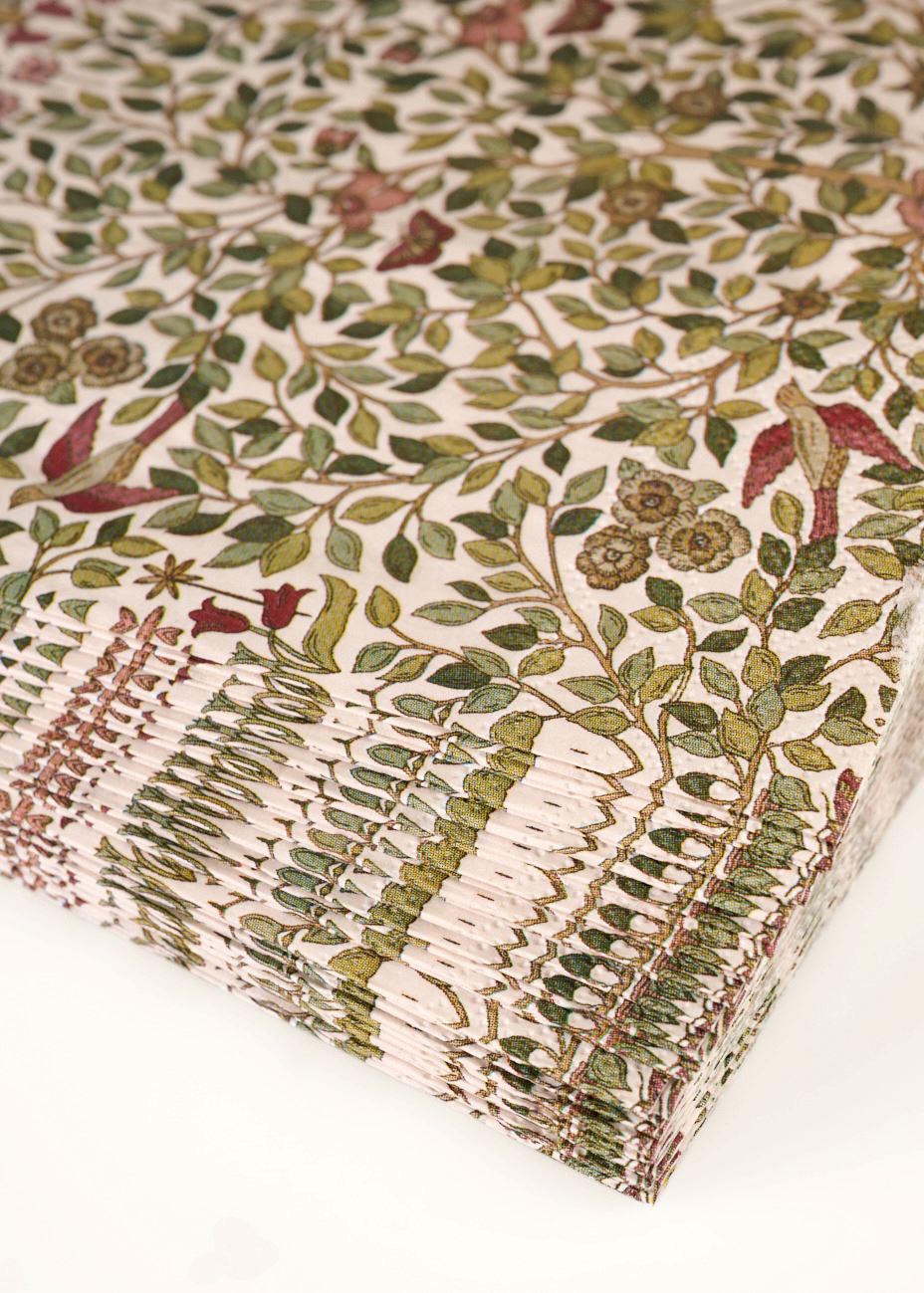 Middagsservietter multi - 2