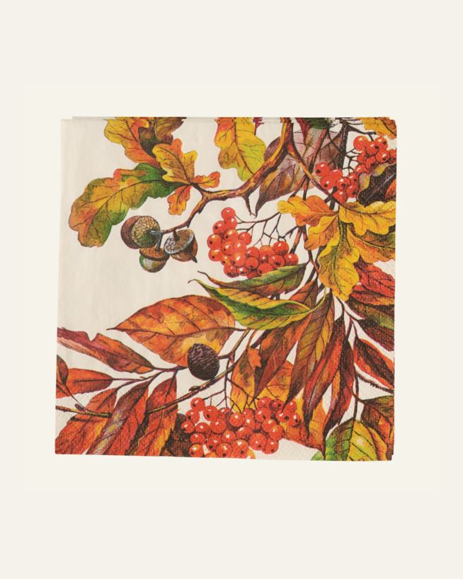 Coctail papirserviett multi orange - 25x25 cm multi orange - 1