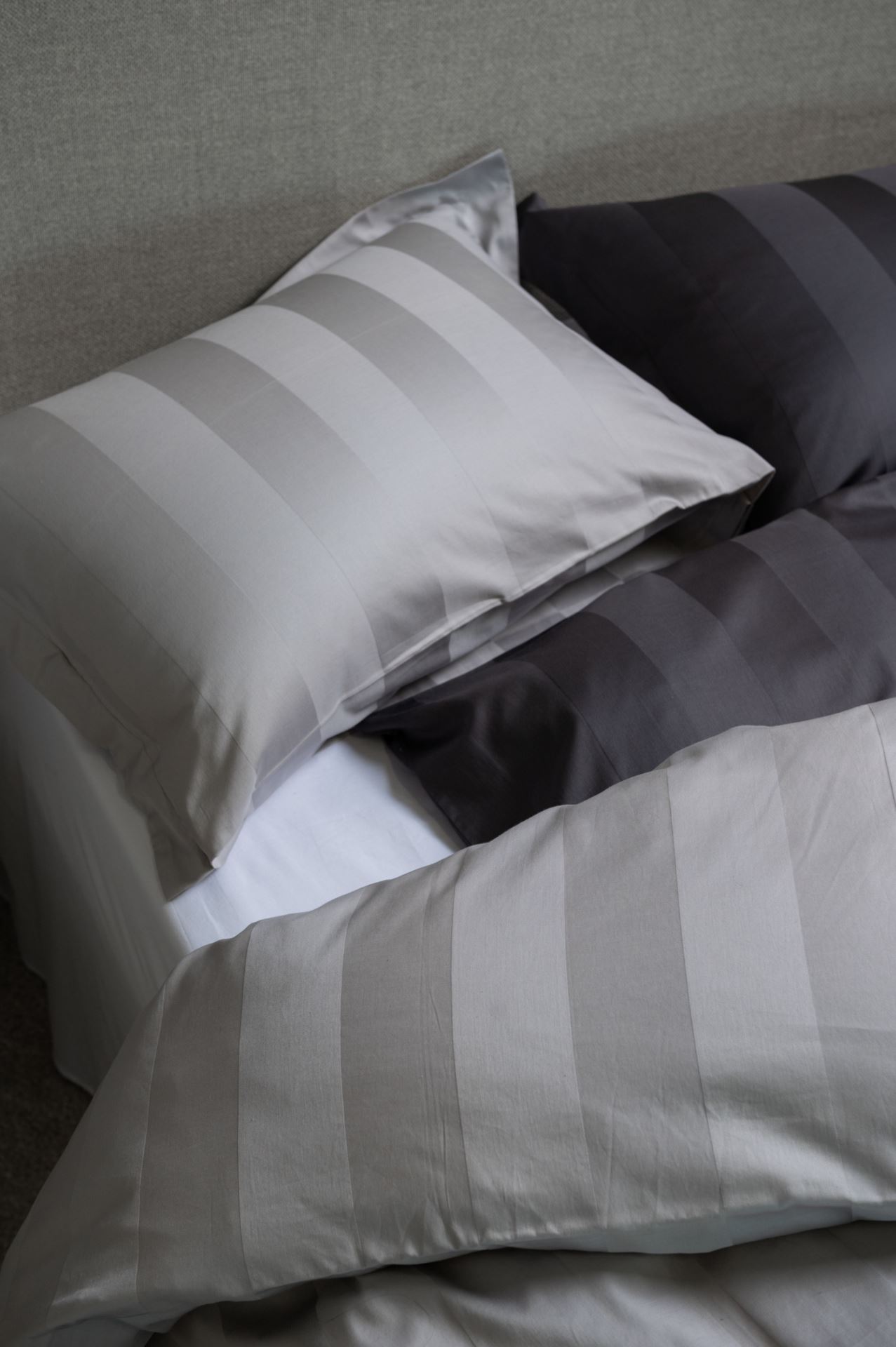 Sateng sengesett stål - 4