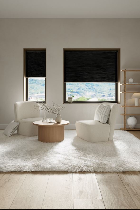 Lysfilt. dobbel plisségardin svart - 90x160 cm svart - 1