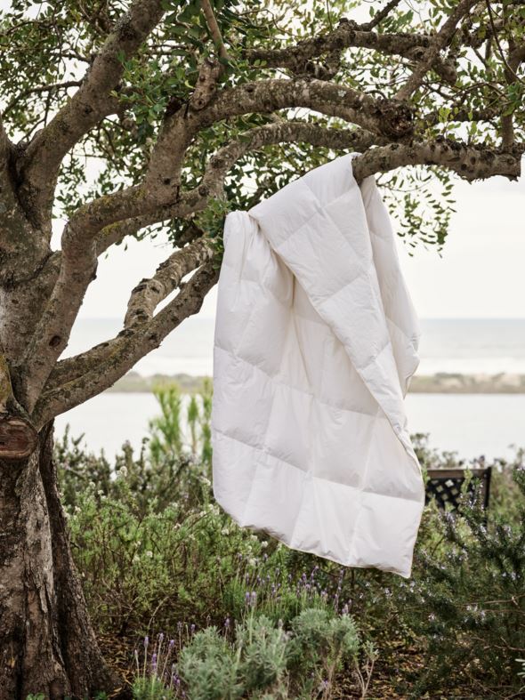 Sommerdundyne hvit - 3