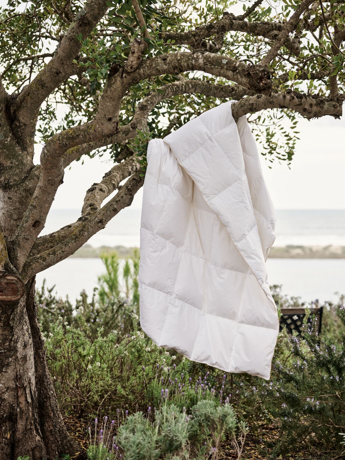 Sommerdundyne hvit - 3