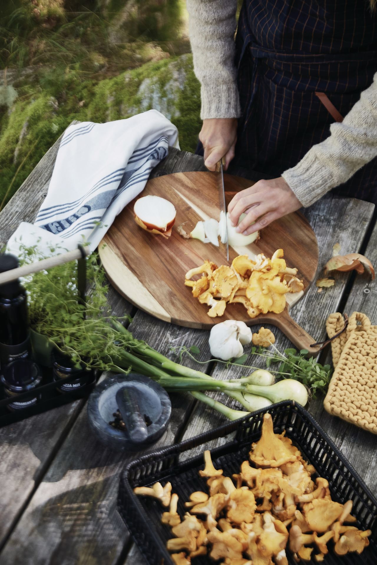 Fjøl                           natur - 3