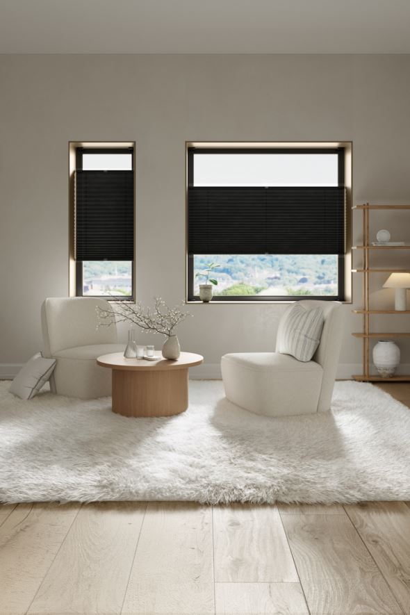 Lysfiltrerende plisségardin svart - 2