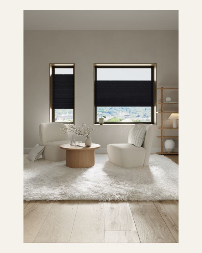 Lysfilt. dobbel plisségardin svart - 60x160 cm svart - 1