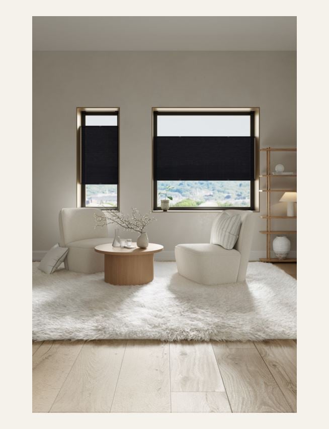 Lysfilt. dobbel plisségardin svart - 3