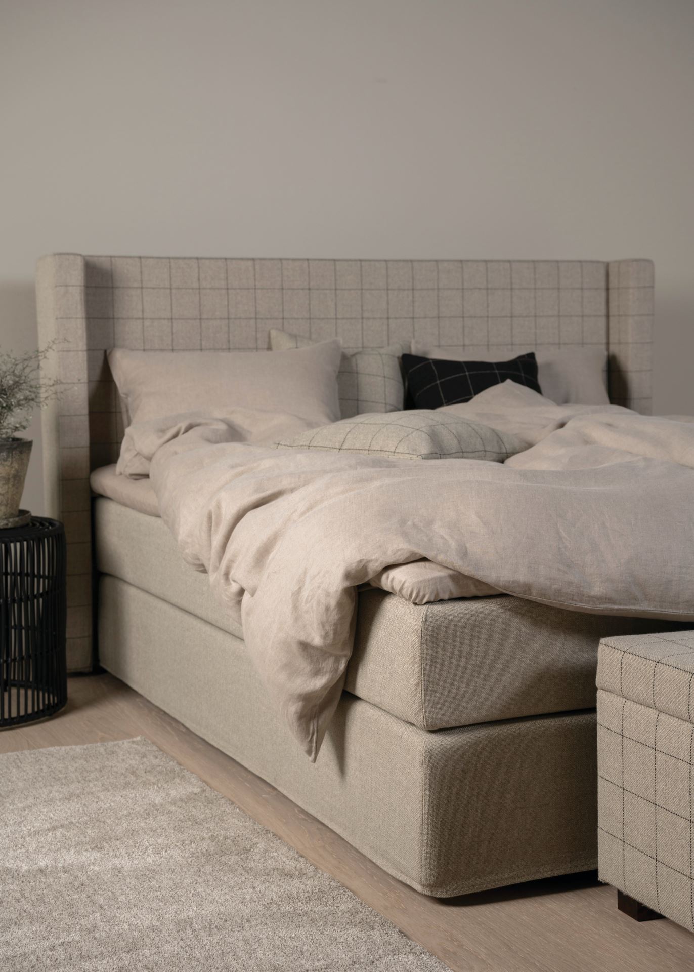 Kontinentalseng beige - 7