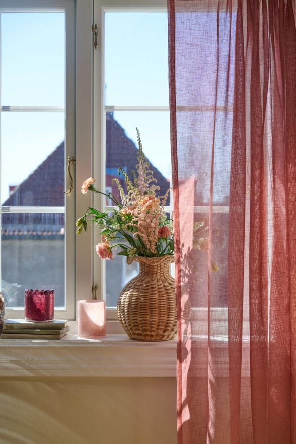 Gardin engelsk rose - 10