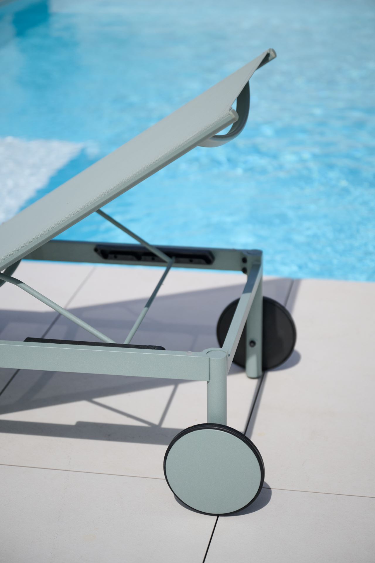 Solseng grågrønn - 7