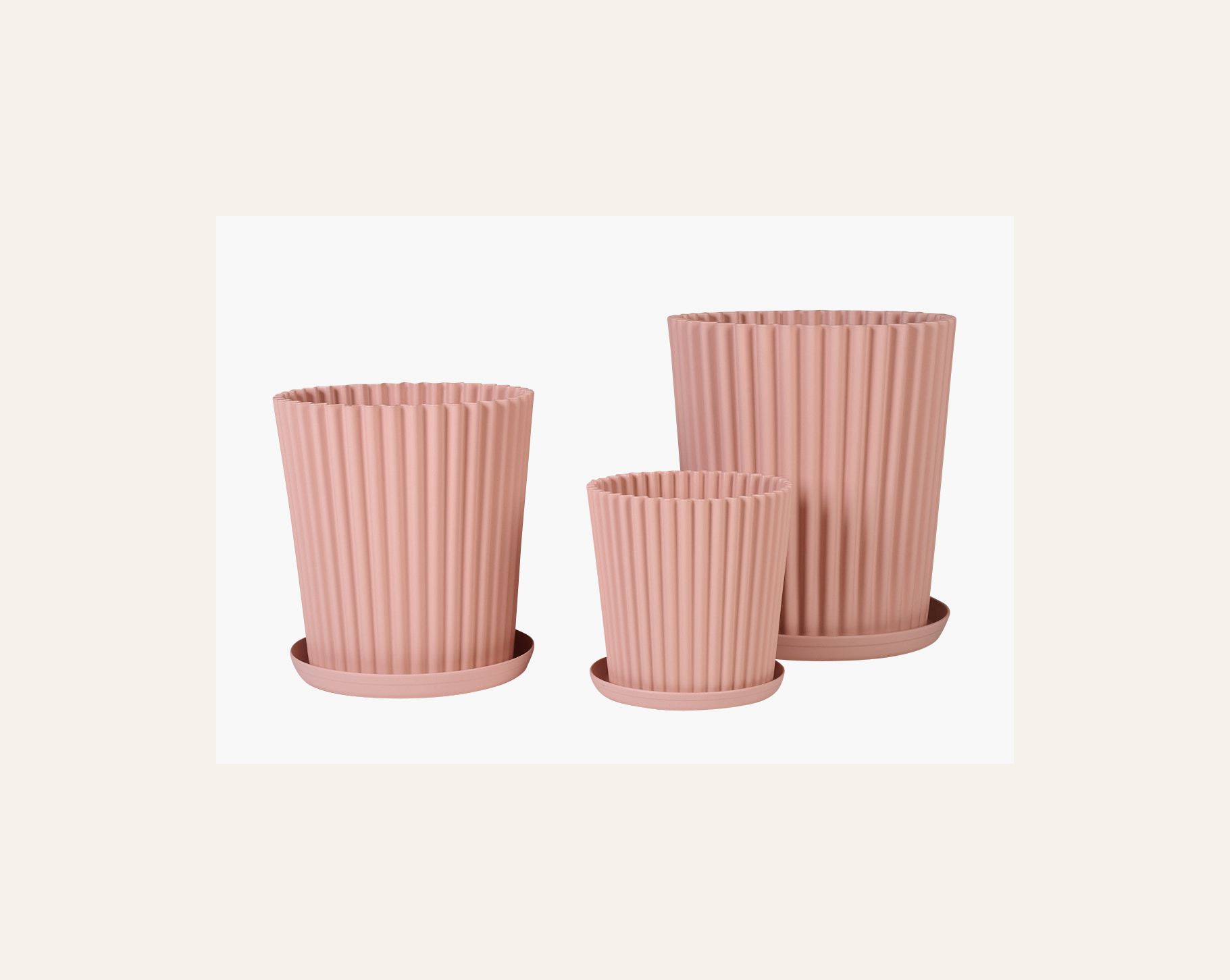 Utepotte pudderrosa - 4