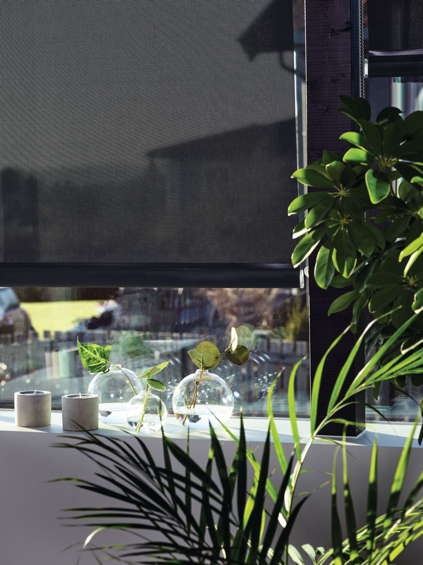 Screen rullegardin koksgrå - 2