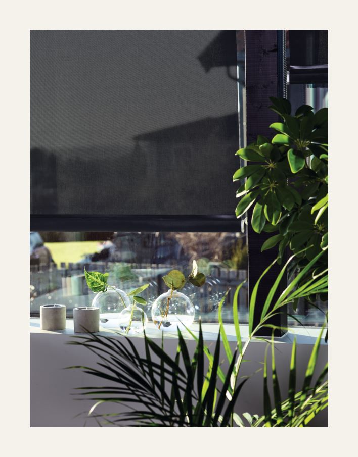 Screen rullegardin koksgrå - 3