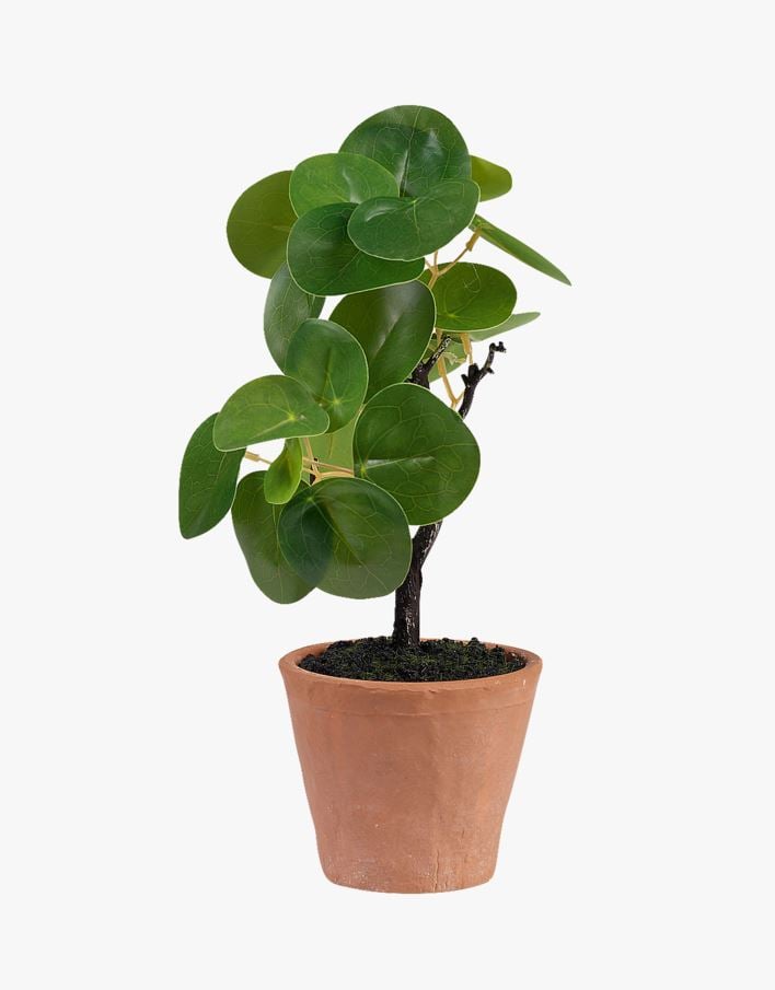 Plante grønn - 10x10x25 cm grønn - 1