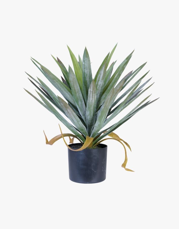 Plante grønn - 41x41x48 cm grønn - 1