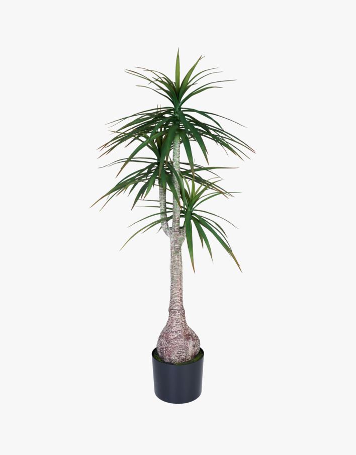 Plante grønn - 60x60x147 cm grønn - 1