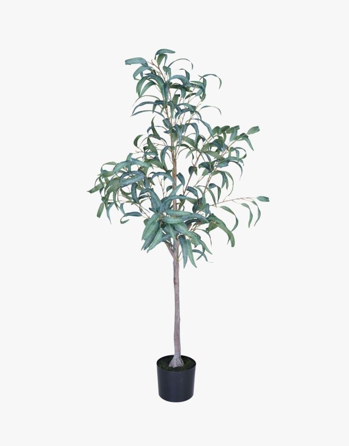 Plante grønn - 55x50x150 cm grønn - 1